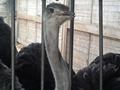 Klik voor vergroting Foto 24